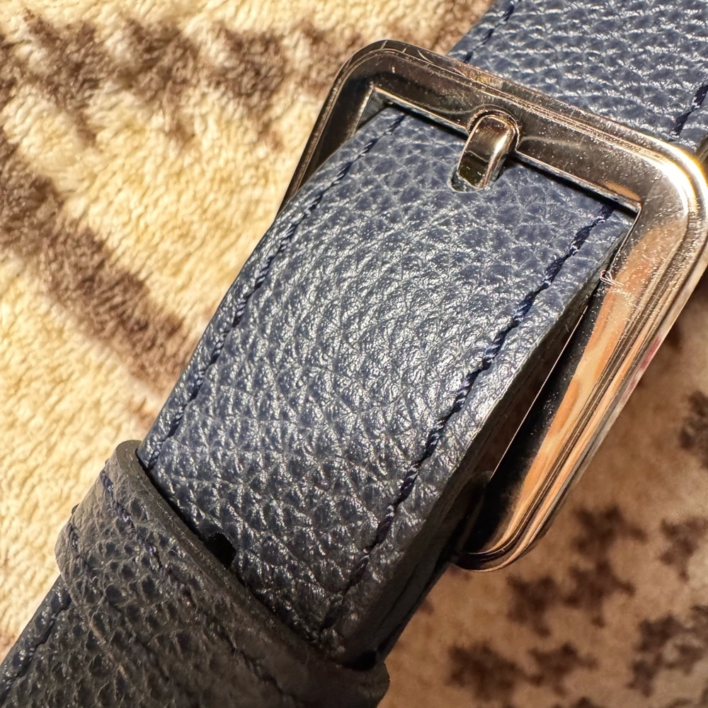 Longchamp Le Foulonne Saddle Bag. Beautiful,classic with plenty of pockets. - Picture 8 of 15